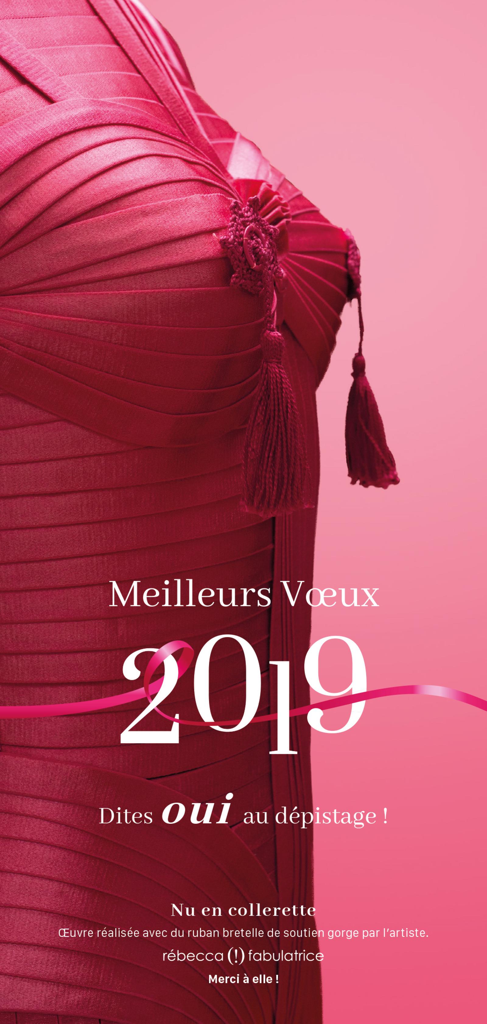 Meilleurs voeux 2019