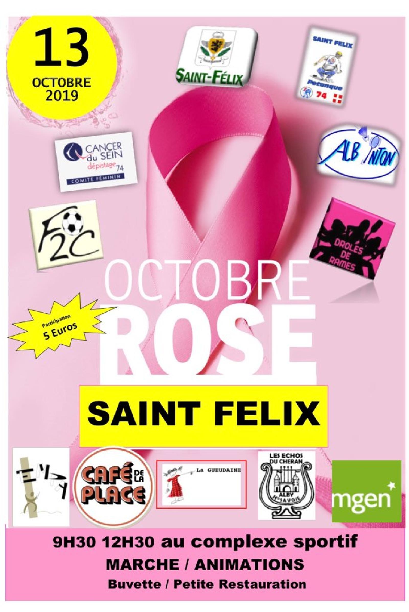 Octobre Rose 2019 à St Félix