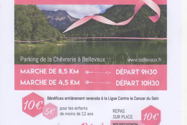 Marche Rose à Bellevaux