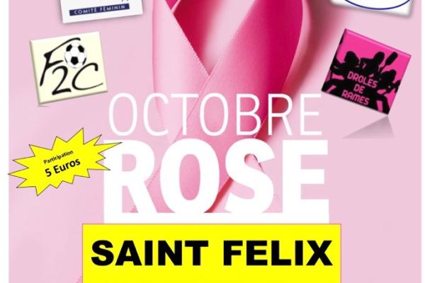 Octobre Rose 2019 à St Félix